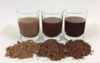 DUTCH PROCESSED COCOA POWDER 10-12, CHEAP PRICE