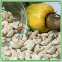 VIETNAM CASHEW NUTS LBW320