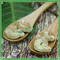 Cashew Nuts Kernel DW2 Best Quality