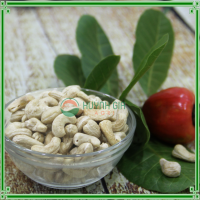 CASHEW NUTS LBW320 / GOOD PRICE IN VIETNAM