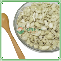 Cashew Kernels SP Best Price in Vietnam