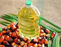 Cooking oil, RBD Palm Olein, Shortening, Vegetable ghee, RBD Coconut Oil