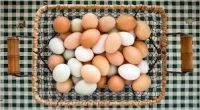 Broiler Eggs for Hatching / Chicken Hatching Eggs