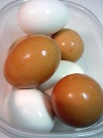 Best Quality Organic Fresh Chicken Table Eggs & Fertilized Hatching Eggs at affordable prices