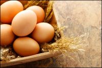 Fertile Chicken Eggs/ Hatching Eggs