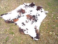 Wet and Dry Salted Cow hides GRADE "A"