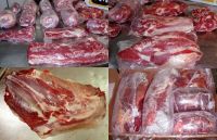 Halal Frozen Beef for sale