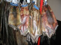 Grade A+ Animal Dry and Wet Salted Donkey/Goat Skin /Wet Salted Cow Hides, Buffalo, Snake Etc