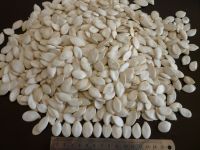 shine skin pumpkin seeds price