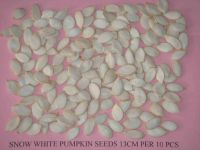 Grade AA shine skin pumpkin seeds kernels, hulled snow white pumpkin seed kernels wholesale