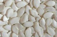 Vacuum packed pumpkin seeds kernels grade AA with 2017 crop