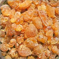 ARABIC GUM