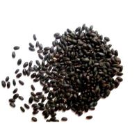 BASIL SEEDS