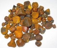 Ox and cow gallstone