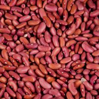 Wholesale Light Speckled Kidney Beans