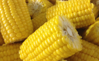 yellow bulk sweet iqf frozen whole kernel corn