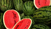 fresh water melons