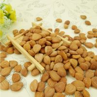 Cashew Nuts, Chestnuts, Apricot Kernels, Betel Nuts