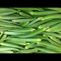 Fresh Okra