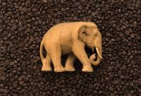 Sell ELEPHANT ROASTED COFFEE BEANS - VIETDELI