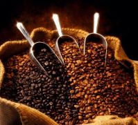 Sell ARABICA ROASTED COFFEE BEANS - VIETDELI