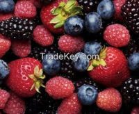 Strawberry Fresh Berries For Sale