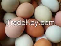 FRESH EGGS GRADE A (WHITE AND BROWN