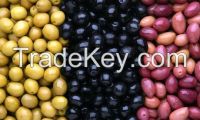 Fresh Dates Seeds  Olives  Fenugreek Seeds