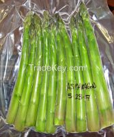 Frozen green asparagus