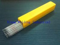 Stainless Steel Electrode