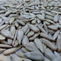 sunflower seeds kernel confectionery grade&bakery grade