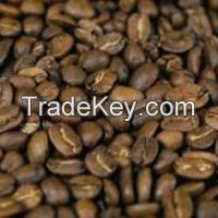 Nicaraguan Maragogype Coffee Beans