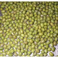 Green Mung Beans