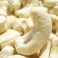 Raw Cashew Nuts