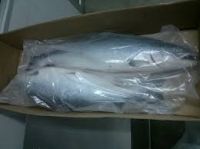 Frozen Horse Mackerel, Pacific Mackerel