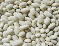 White Beans / White Kidney Beans