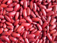 Red Kidney Beans Raw Kidney Beans