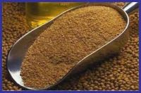 soybean meal