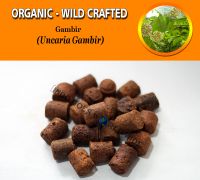 WHOLESALE Gambir Pale Catechu Uncaria Gambir Organic Wild Crafted Herbs