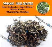 WHOLESALE Sunset Muskmallow Sunset Hibiscus Hibiscus Manihot Abelmoschus Manihot Organic Wild Crafted Herbs
