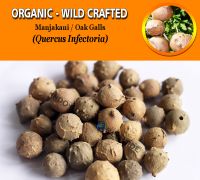 WHOLESALE Manjakani Oak Gall Quercus Infectoria Organic Wild Crafted Herbs