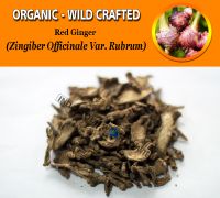 WHOLESALE Red Ginger "Grade A" Zingiber Officinale Var. Rubrum Organic Wild Crafted Herbs