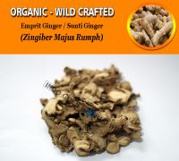 WHOLESALE Emprit Ginger Sunti Ginger Zingiber Majus Rumph Organic Wild Crafted Herbs