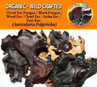 WHOLESALE Chinese Wood Ear Black Fungus Wood Ear Fungus Hairy Wood Ear Auricularia Polytricha Organic Wild Crafted Herbs