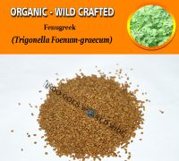 WHOLESALE Fenugreek Trigonella Foenum-graecum Organic Wild Crafted Herbs