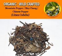 WHOLESALE Mountain Pepper May Chang Chinese Pepper Litsea Cubeba  Organic Wild Crafted Herbs