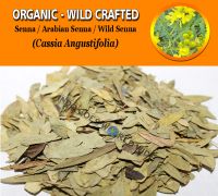 WHOLESALE Senna Leaves Arabian Senna Wild Senna Cassia Angustifolia Organic Wild Crafted Herbs