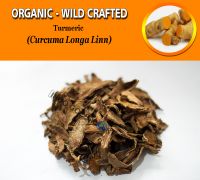 WHOLESALE Turmeric Curcuma Longa Organic Wild Crafted Herbs
