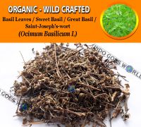 WHOLESALE Basil Leaves Sweet Basil Great Basil Saint-Joseph's-wort Ocimum Basilicum Organic Wild Crafted Herbs
