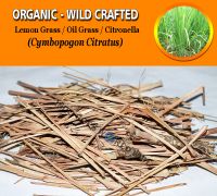 WHOLESALE Lemon Grass Oil Grass Citronella Cymbopogon Citratus Organic Wild Crafted Herbs